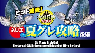 ヒット連発！ネリエで夏グレ攻略後編【大知兄弟】So Many Fish On /힛트 연발/接连中鱼/Ochi Brothers/오오치형제