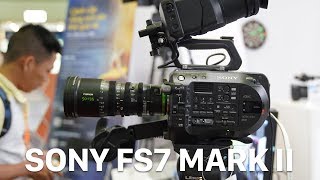 Trên Sony FS7 Mark II