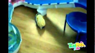 Интерактивный хомячок Zhu Zhu Pets Hamsters Cepia