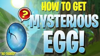 AQW - MYSTERIOUS EGG! (Full Walkthrough) + ITEM Showcase!