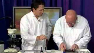 How to Prepare a Wet-mount Slide