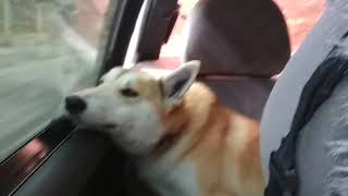 Едем, едем в соседнее село))