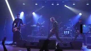 Горшенев - Царь зверей (Тула, 28.09.2019)