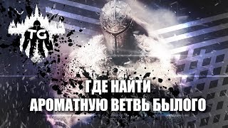 Где найти ароматную ветвь былого?\Как убрать статую? - Dark Souls 2