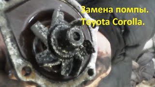 Замена помпы  Toyota Corolla