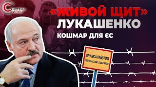 Прорыв границы: Польша и Литва стягивают военных к белорусской границе из-за сотен мигрантов