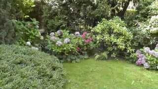 Stadtgarten - Renates Garten, mitten in Hamburg