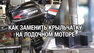 ⚙️??Как заменить крыльчатку и не убить лодочный мотор. Для начинающих водномоторников