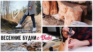 ЕЩЕ ОДНА МАСТЕРСКАЯ НА ПОДХОДЕ ???? ДЕЛЮСЬ ПЛАНАМИ НА ОБУСТРОЙСТВО САДА????