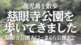 【森林浴】鹿児島を散歩〜慈眼寺公園〜
