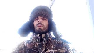 Шаман идёт!!! 24.01.2020г. СРОЧНО ШАМАН УШЁЛ. ЭЛЬФА ОПЯТЬ ЗАБРАЛИ В ПОЛИЦИЮ ?