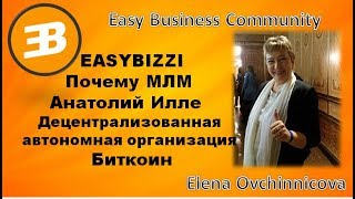 Easybizzi Почему МЛМ Анатолий Илле  Децентрализованная автономная организация Биткоин