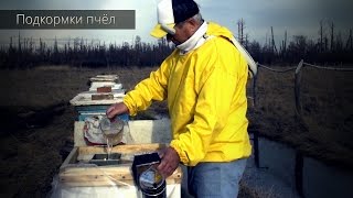 Подкормки пчёл и применение Хитомила