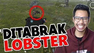 INI CARANYA JADI LOBSTER DARAT - PUBG MOBILE INDONESIA