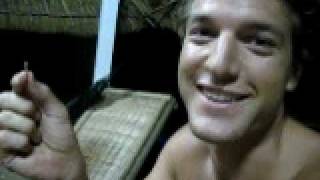 Flying termite experience