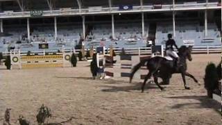Kate Riddle and Aslan, Mini Prix
