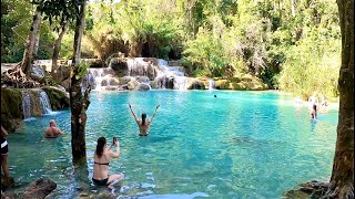 [ENG SUB] 꽝시폭포. 입이 '떡' 벌어집니다. (DAY6. LAOS. LUANG PRABANG. Tat Kuang Si Waterfall)