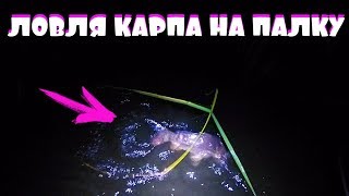 Ловля карпа на палку с коркой хлеба! Брожу ночью по камышам пугаю лягушек! Примитивная снасть