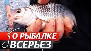 Плотва по Перволедку на водохранилище. "О Рыбалке Всерьез" видео 173.