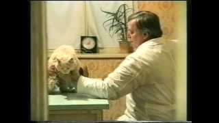 Тёма трахнул Ксюшу. Кто родится, котопёс? 1996.