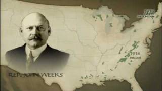 History of the Weeks Act