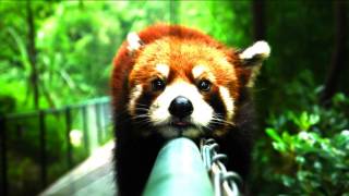 MELODIC DUBSTEP MIX 2 (Take You Higher)
