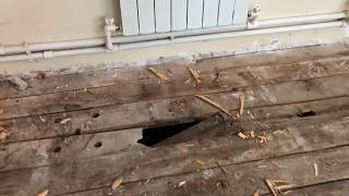 Гнилой пол в спортивном зале после 2 лет работы, после капитального ремонта за 10 миллионов