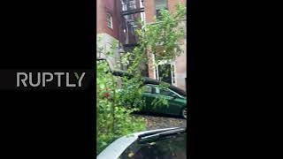 USA: Trees knocked down in Boston after storm hits East Coast