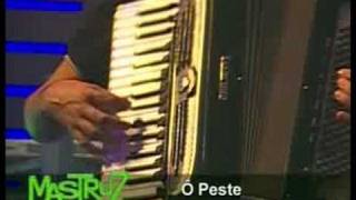 Pout pourri - Forró Mastruz com Leite
