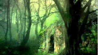Omnia - Pagan Polska (Cybershaman Remix - by Fortress)