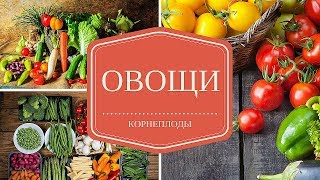 Овощи (корнеплоды). Полезные свойства овощей