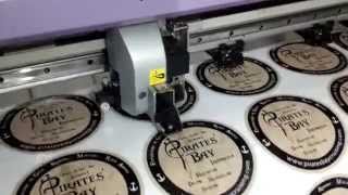Mimaki CJV30-160 Print and Cut Machine