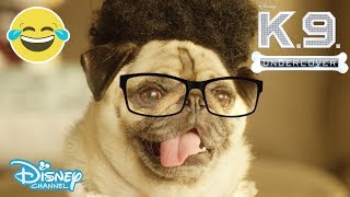 K.C Undercover | Deja Vu - K-9 Undercover ? | Disney Channel UK