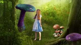 Alice Shrinking