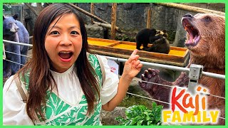 Feeding REAL LIFE BEAR at Bear Park in JAPAN!