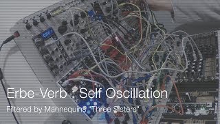 Make Noise : Erbe-Verb Self Oscillation