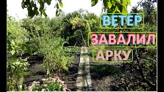 ВИНОГРАДНАЯ АРКА не выдержала напор ветра и дождя