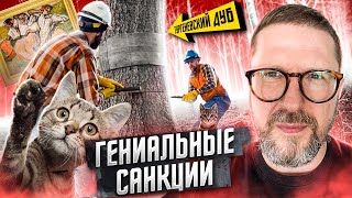Самые полезные санкции
