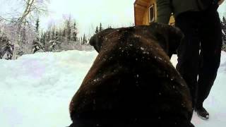 SNOW MAX