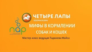 Мифы в кормлении собак и кошек.