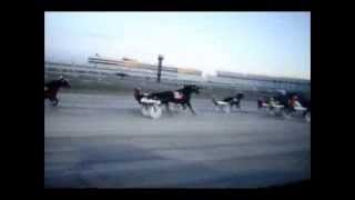 Harness Racing at Dover Downs