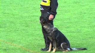 Norbert Aritar Bastet -  B - 96 bodů