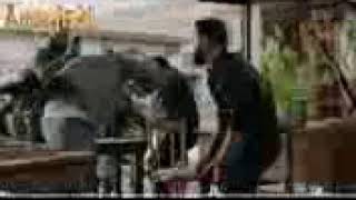حالات واتس اب جبل الهيبةمراجلنا تمدد الظهر بينا   144P