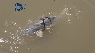 Pesca de Patíes en Gualeguay (Entre Ríos)