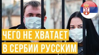 ЧТО НЕЛЬЗЯ КУПИТЬ НА НОВЫЙ ГОД В СЕРБИИ 2021 ? Минусы жизни в Сербии.