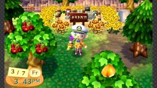 Animal Crossing: New Leaf - Molly's Birthday