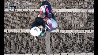 Yılda 6 milyon fidanla yeni orman sahalarını ağaçlandırıyorlar