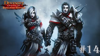 Divinity - Original Sin (2 игрока) \ Божество: Первородный грех (Запись стрима №14)