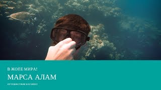 Марса Алам , ЕГИПЕТ. Мы забрались в Жопу Мира!