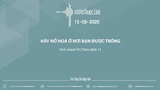 Mana Radio 12 02 2020